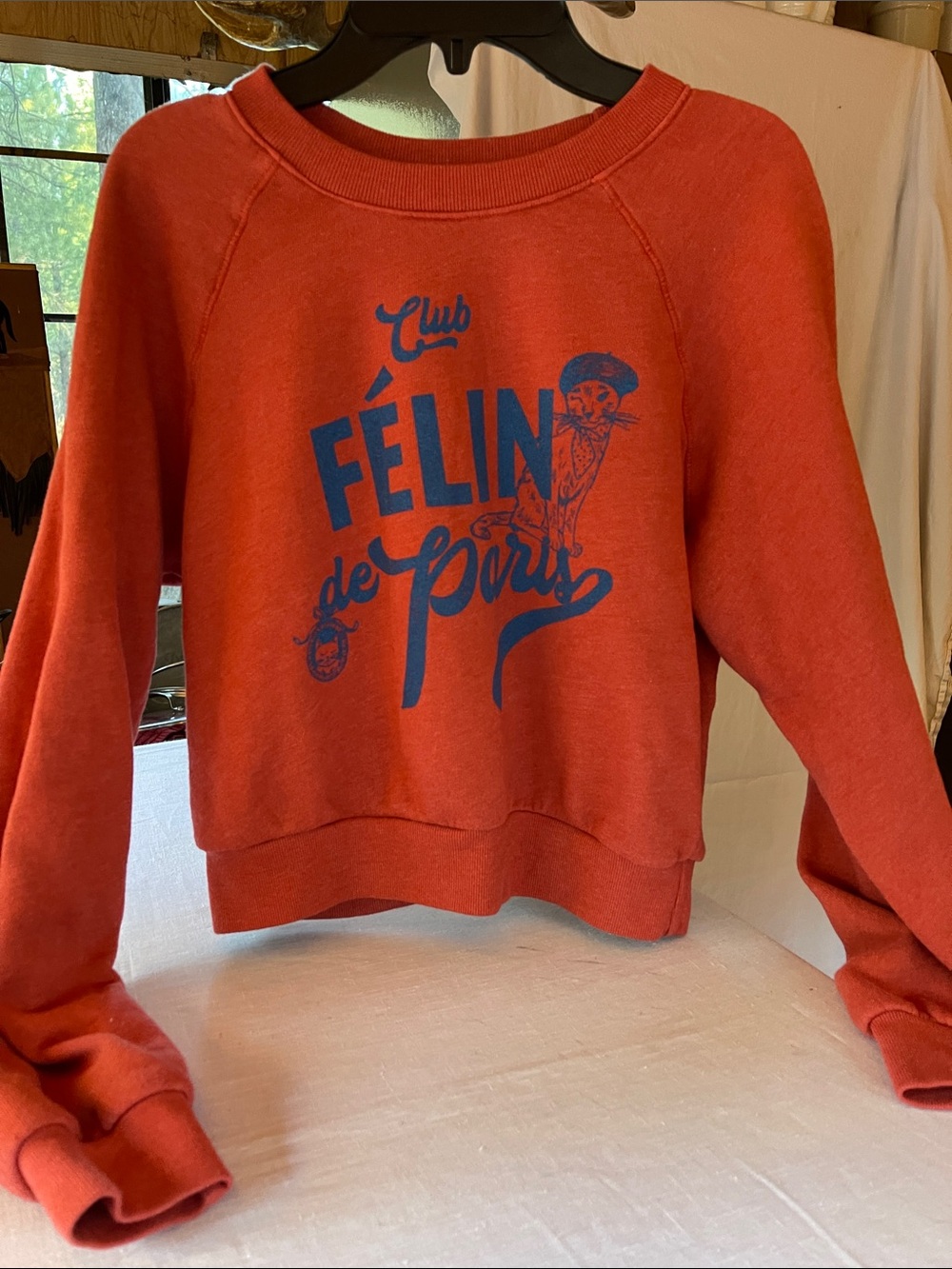 Little red Paris sweatshirt with cat graphic